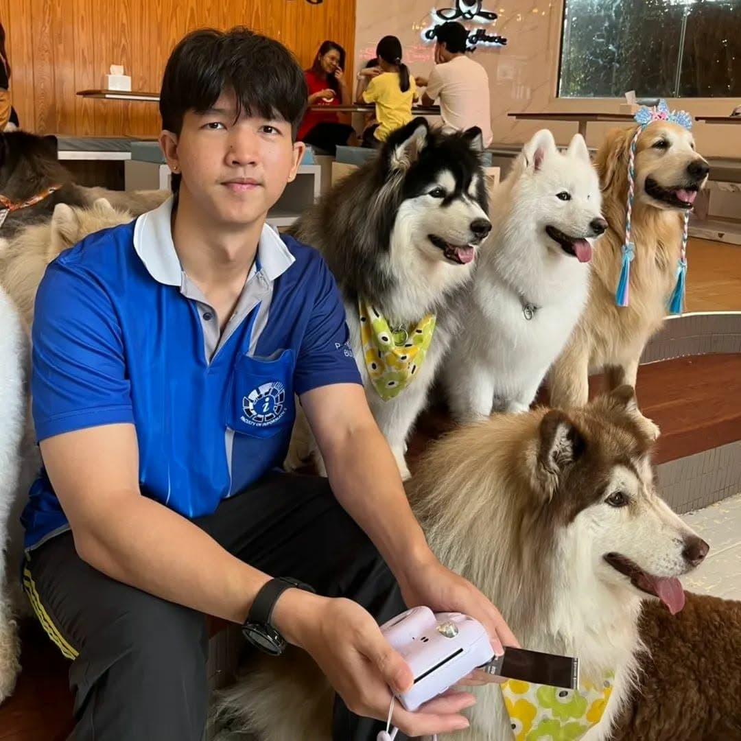 Pack of dogs